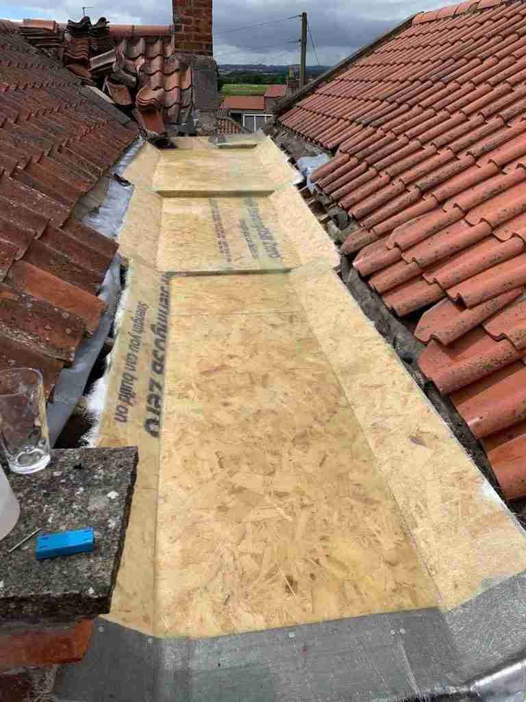 Roofer New Me