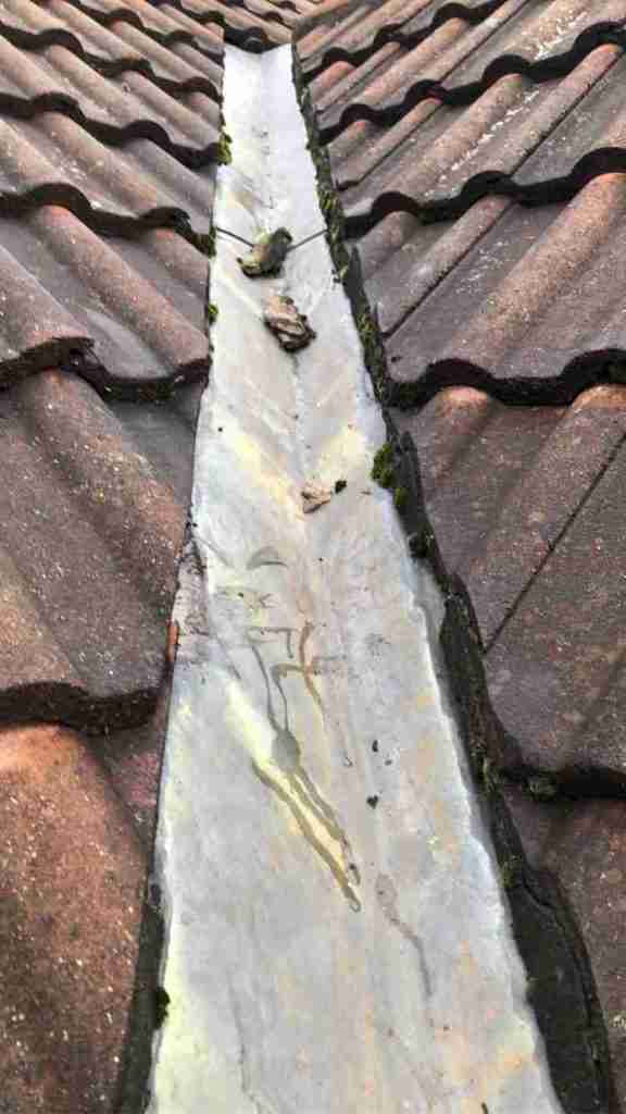 Emergency Roofer