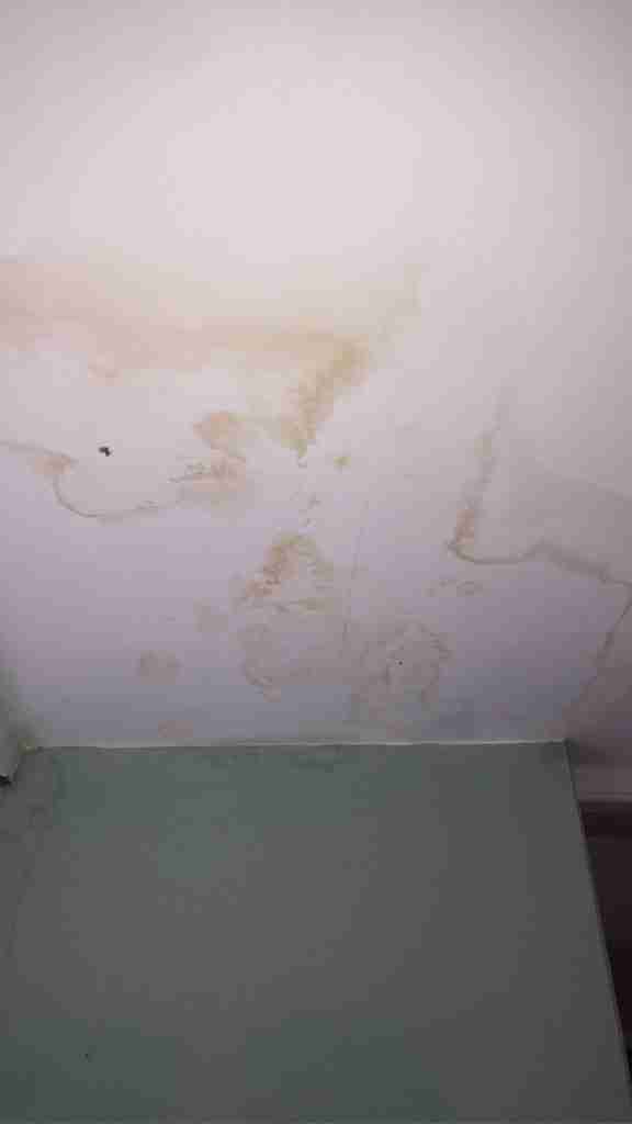 Leaking Roof
