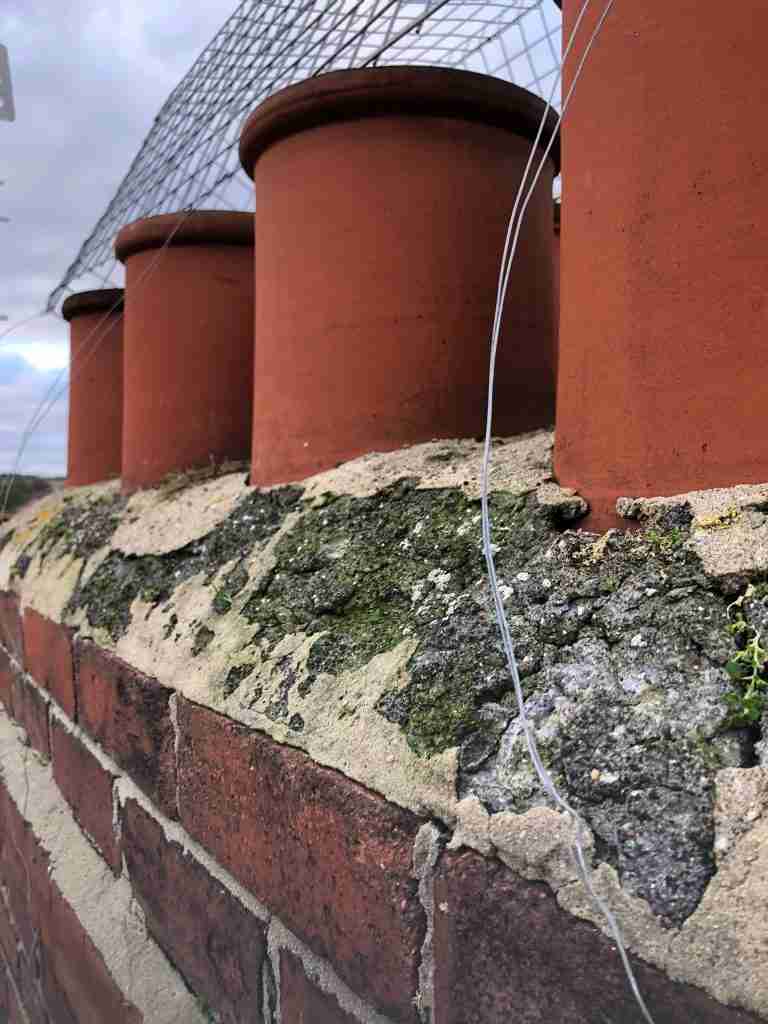 Local Roofer