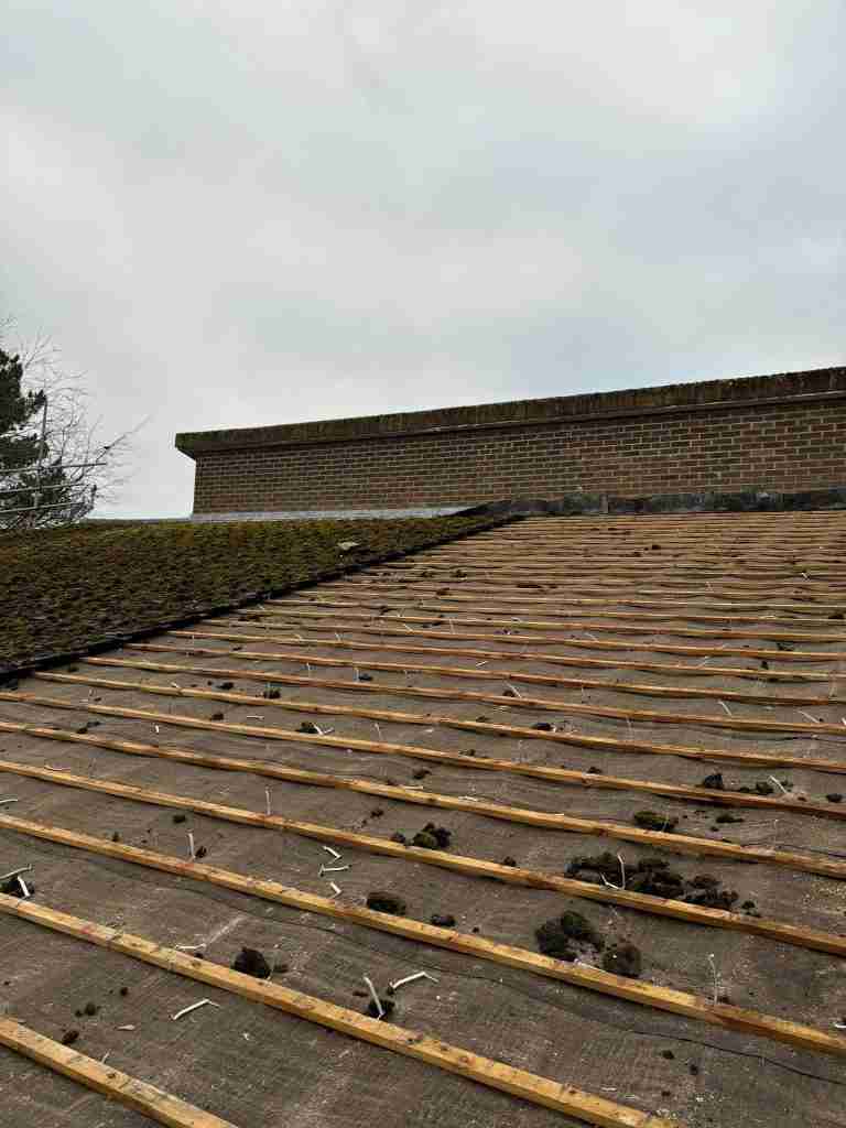 Damaged Roof
