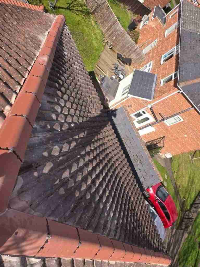 Local Roofer