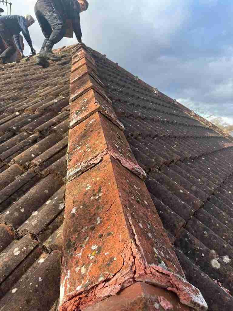 Emergency Roof